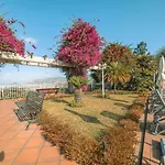 酒店 海洋花园酒店 丰沙尔